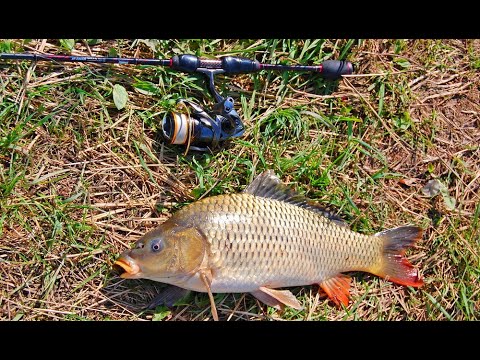 Видео: С микрухи до мормо. Уменьшился в весе. Дружественная встреча. Долгожданный трофей.