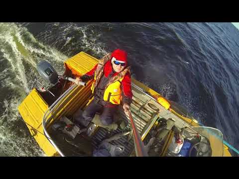 Видео: Прогресс 2м и Ямаха 9,9-15 2т