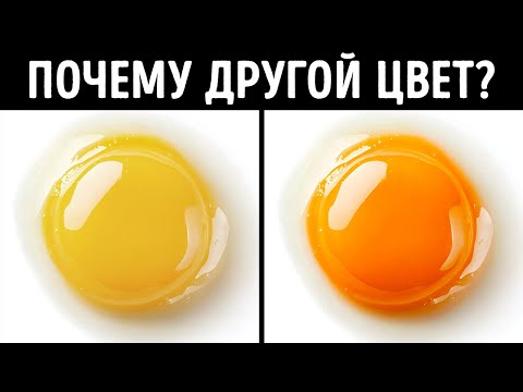 Видео: 150+ удивительных фактов, которыми можно поделиться на следующей встрече