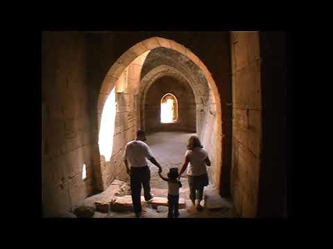 Видео: Алепо