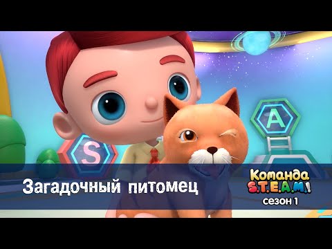 Видео: Команда S.T.E.A.M. Сезон 1 - Серия 20.Загадочный питомец - Премьера мультфильма