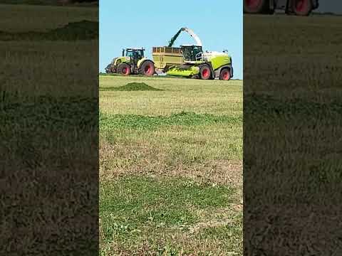 Видео: #automobile заготовка сенажа ухадящия лето