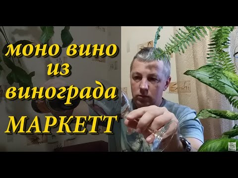 Видео: Сухое вино МАРКЕТТ! / Моно вино из винограда МАРКЕТТ!