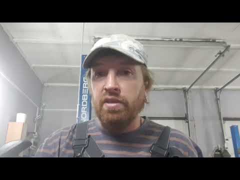 Видео: Что расскажет родословная собаки.