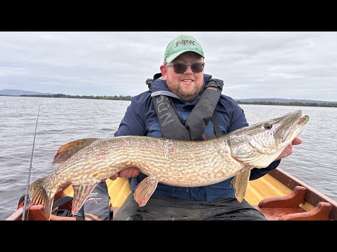 Видео: Мы этого не ожидали! Ещё одна щука во время рыбалки с гидом на озере Лох-Дерг 🎣
