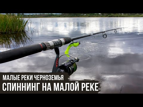 Видео: Спиннинг на малой реке // Малые реки Черноземья #5 / #2