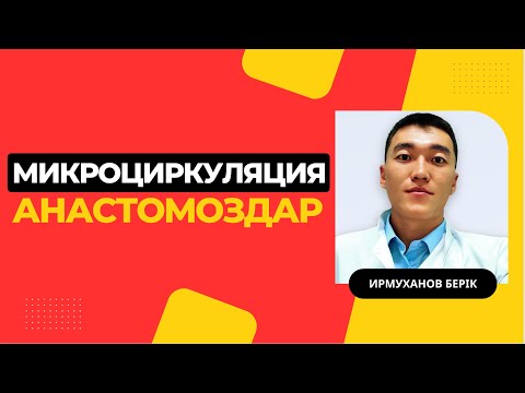 Видео: Микроциркуляторлық арна | анастомоздар