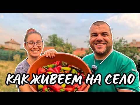 Видео: Градина, работа и смях | ЖИВОТ НА СЕЛО
