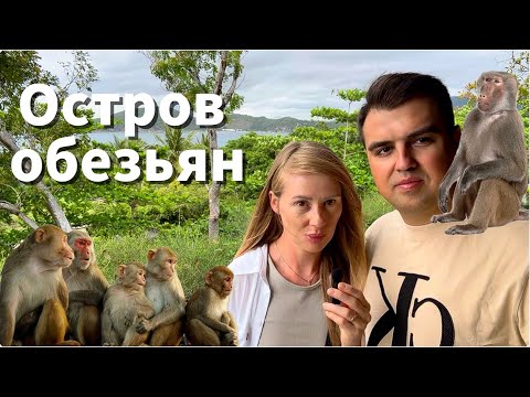 Видео: Остров обезьян в Нячанге - едем сами !
