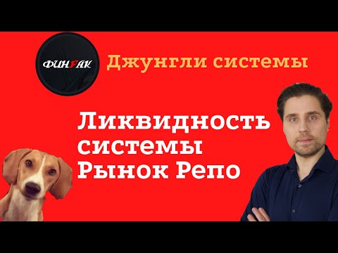 Видео: Ликвидность системы. Рынок Репо. Джунгли системы