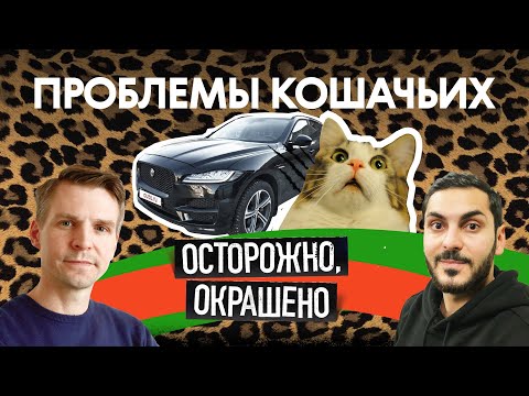 Видео: Как выбрать Jaguar F-Pace, если у тебя лапки