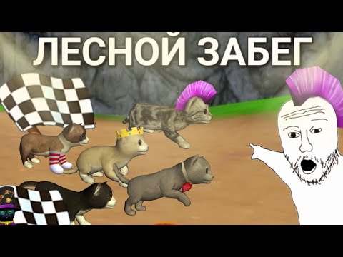 Видео: Гонка в Cat simulator animal life