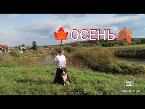 Видео: 🍁ОСЕНЬ🍂