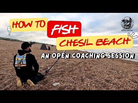 Видео: Как ловить рыбу на пляже Чесил — открытое занятие на пляже Майти | Рыбалка с Уэйном 🎣