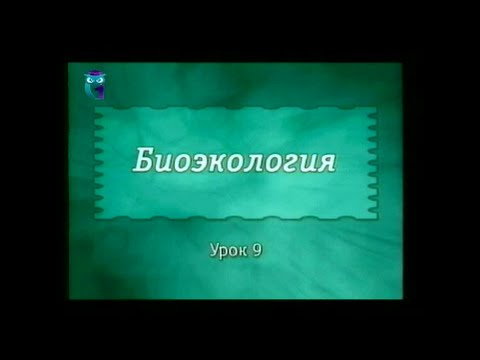 Видео: Экология. Урок 9. Динамика сообществ