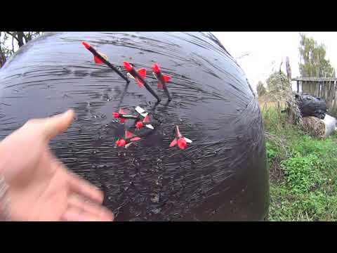 Видео: Как стрелять из блочного лука. Для начинающих и для "умных" тоже.