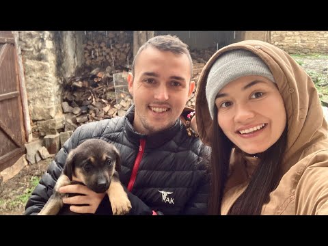 Видео: НАМЕРИХМЕ МОКРО КУЧЕНЦЕ НА ПЪТЯ И СГЛОБИХМЕ МЕБЕЛИТЕ В СТАЯТА | Живот в българско село ЕП.13