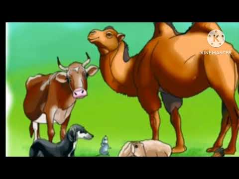 Видео: Айбанаттардын талашы. 2- класс. Адабий окуу.