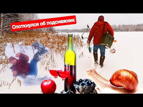 Видео: БЕЛАРУССКИЕ УЛИТКИ И ВИНИЩЕ А НА ОЗЕРЕ ПЕРВИЩЕ ВЕТЕР СВИЩЕТ ИЛИ ОТКРЫТИЕ ЗИМНЕЙ РЫБАЛКИ 23-24