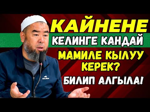 Видео: КЕЛИН КАЙНЕНГЕ УШУНДАЙ МАМИЛЕК КЫЛЫШ КЕРЕК! КАЙНЕНЕ КЕЛИНГЕ КАНДАЙ МАМИЛЕ КЫЛУУ КЕРЕК?