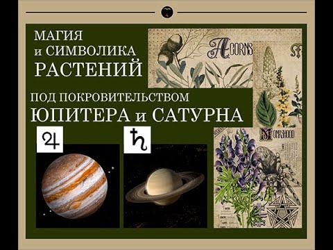 Видео: СИМВОЛИКА И МАГИЯ РАСТЕНИЙ ЮПИТЕРА и САТУРНА