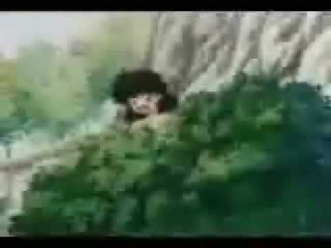 Видео: Ой-ой-ой