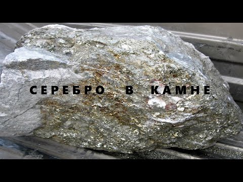 Видео: Серебро из Камня.Хим анализ на наличие!