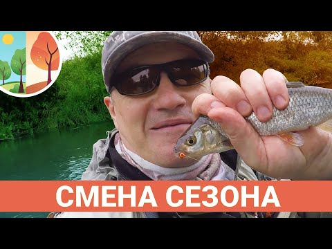 Видео: Смена сезонов. В один день сухая мушка и нимфа. Ловля нахлыстом.