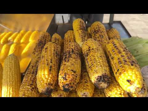 Видео: Стамбул ноябрь 2025. Сулеймание.Архиологический музей, как купить билет дешевле?