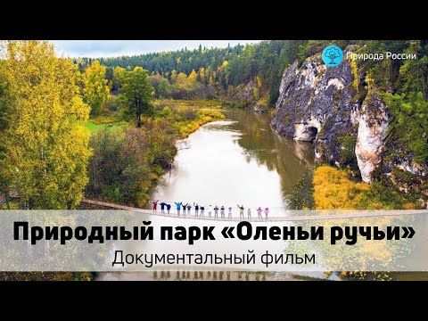 Видео: Природный парк «Оленьи ручьи» — Документальный фильм 