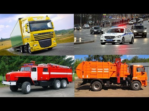 Видео: Изучаем транспорт и спецтехнику. Развивающее видео для самых маленьких