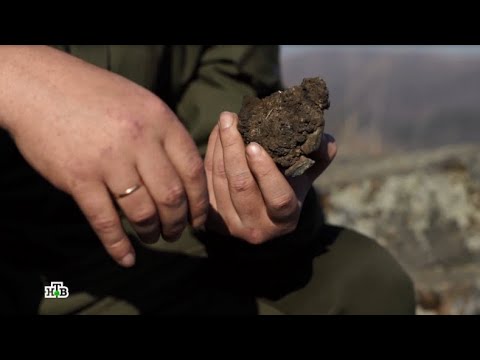 Видео: МУМИЁ МИНГ ДАРДГА ДАВО