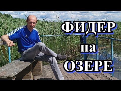 Видео: РЫБА КЛЮЕТ НА КАЖДОМ ЗАБРОСЕ. РЫБАЛКА на ФИДЕР с КОМФОРТОМ.  База отдыха КОЛОМНО