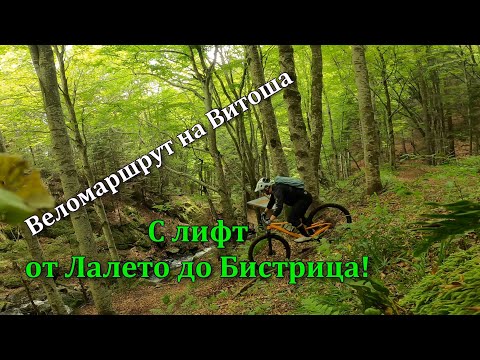 Видео: (Веломаршрут) - Витошко Лале - Янчовска река - Бистрица//Vitoshko Lale - Bistritsa