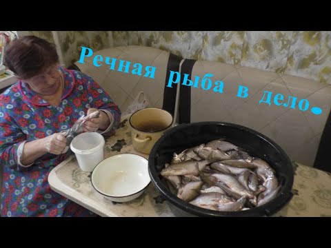 Видео: РЕЧНАЯ РЫБА В ДЕЛО! Вот что можно приготовить из речной рыбы!