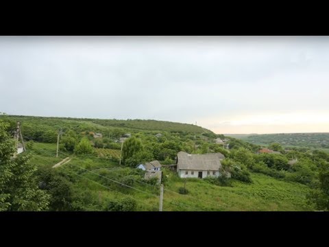 Видео: В путь! Село Дубово - 06/06/19