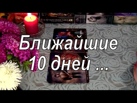 Видео: ❗ЕГО ДЕЙСТВИЯ К ВАМ В БЛИЖАЙШИЕ 10 ДНЕЙ!.. 🌼Гадание Таро