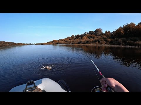 Видео: Рыбалка на Западной Двине|Слипование лодки в тяжелых условиях!