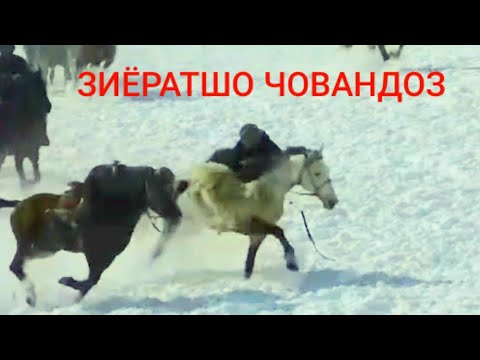 Видео: ЗИЁРАТШО ЧОВАНДОЗ.ДАР НОХЯИ РАШТ БЕХТАРИН МУСОБИКА👍👍👍🇹🇯🇹🇯🇹🇯👍👍👍