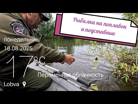 Видео: Рыбалка на поплавок и подставные. 