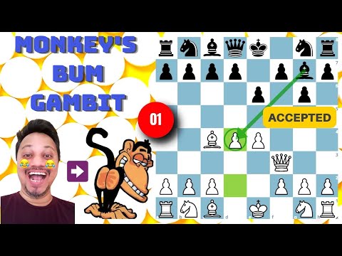 Видео: Атакующий шахматный гамбит - 12 (принят гамбит «Обезьянья задница»)