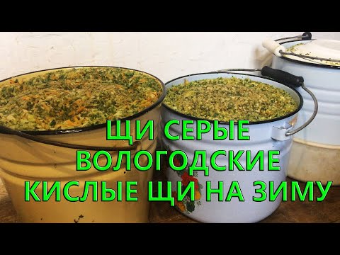 Видео: Серые щи из зеленых листьев капусты. Вологодские щи. Заготавливаем на зиму.