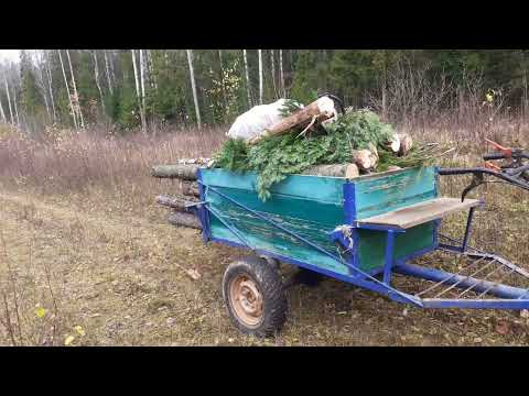 Видео: Последний лес .