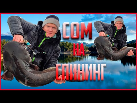 Видео: РЫБА-МОНСТР. СОМ 40 КГ НА СПИННИНГ. Кама. Быргында. Октябрь.