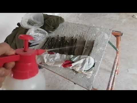 Видео: Промежуточный результат укоренения черенков инжира спустя неделю