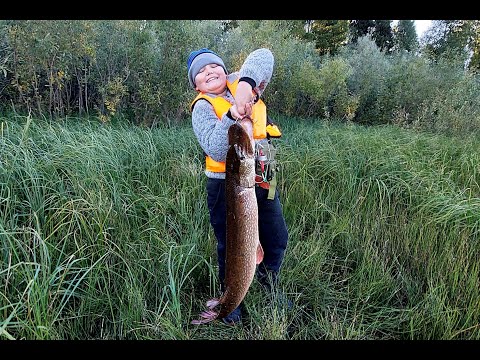 Видео: Эта рыбалка полна приключений, машину засадили, лодка уплыла, трофея взяли.