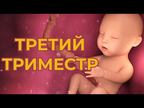 Видео: Третий Триместр Беременности.  Что Нельзя Беременным в 3 Триместре ?
