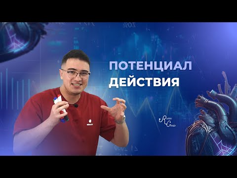 Видео: Потенциал действия синусового узла и рабочего кардиомиоцита
