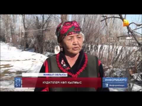 Видео: Жамбыл облысында жантүршігерлік сұмдық жағдай болды