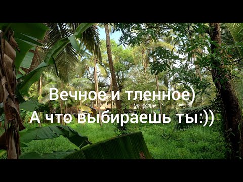 Видео: Проверочные тесты для каждого на галактическом сервере Земля